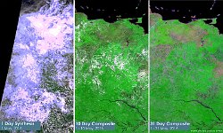 N-daily compositor  The above images show composites, at 300 m resolution, for different time periods over an area in Venezuela and Brazil in May 2016. From left-to-right, the extension of the time period helps to remove cloud cover.   Date: 05/2016   Resolution: 300m : venezuela, brazil, composite, mep