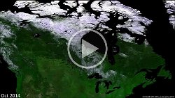 North American Winter Season  Shown is the North-American 2014/15 winter season, with an animation of PROBA-V 300 m 10-day syntheses. The 2014/15 winter season divided the North-American continent into two, with mild temperatures and little precipitation in the western United States and Canada, while the mid-western and eastern parts experienced the coldest winter since decades (source: NOAA). The cold spells were frequently accompanied with severe snow storms, mostly concentrating on the East Coast regions. For example, Boston City was struck by four of those storms in a month, with snow accumulating to almost 2 m. The animation shows a nearly green continent during October 2014, but from mid-November onwards several regions, especially east of the Rocky Mountains, are regularly snow-covered, a situation that persists until the last image of February 2015. In contrast, western US and Canada remain mostly snow-free during the winter season.   Date: 2014/2015   Resolution: 300m