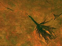 Okavango Delta, Botswana  The 100 m false-colour image of 11 May 2015 shows us the Okvango Delta in Botswana. It is a very large inland delta formed where the Okavango River reaches a tectonic trough in the central part of the endorheic basin of the Kalahari. All the water reaching the Delta is ultimately evaporated and transpired, and does not flow into any sea or ocean.   Date: 11/05/2015   Resolution: 100m : okavango, delta, botswana, river, kalahari