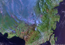 Kalimantan, Borneo  This false-colour PROBA-V image, captured on September 18, shows an abundance of smoke plumes over Kalimantan, the Indonesian part of the island of Borneo. In this area, fires are common in September and October as farmers burn agricultural and logging debris to clear the way for crops and livestock and to prepare the land for new plantings of oil palm and acacia pulp. This year, however, the fire season was more intense and the thick smoke caused schools to close, impacted air traffic and triggered health warnings from poor air quality (e.g. fine particulate matter). Moreover, the peat fires can linger for months, until the wet season arrives and are shown to emit lots of greenhouse gases (CO2 and methane).   Date: 18/09/2019   Resolution: 100m