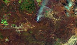 Wildfires California, USA  The 100 m false color image of 4 august 2015 shows a large wildfire (~50 km²) in northeastern California that spread rapidly because of the strong, dry wind. The bright red pixels indicate the fire, while the accompanying smoke and ash plumes appear as light-blue. The light-green areas in the lower-right part indicate irrigated agricultural fields.   Date: 04/08/2015   Resolution: 100m : wildfires, california, usa