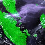 Sumatra  An extensive smoke and ash plume, originating from various wildfires in the Riau province on Sumatra island, Indonesia,  is visible on this 300 m image of 20 June 2013. At the day of observation, the fires (reported to be hundreds of separate fires) already lasted for five days. A warning was raised by the Indonesian National Board for Disaster Management (BNPB) to neighbouring countries Malaysia and Singapore for the approach of chocking smog.   June is the start of the yearly forest fire season, when slash-and-burn techniques are used to clear land quickly and cheaply, often for palm oil plantations.   Date: 20/06/2013   Resolution: 300m : fire, Sumatra