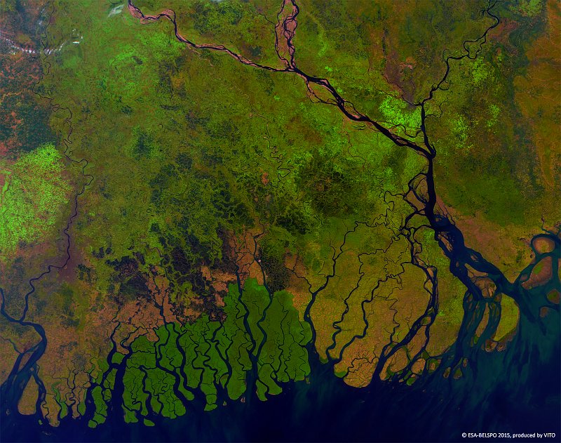Sundarbans, Bangladesh India