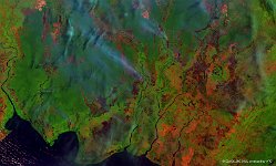 Borneo  The 100 m image of 8 September 2015 shows the rain forest on southern Borneo as green areas, while deforestated areas have a red-brownish colour. Further, several smoke plumes of fires ignited to clear land are visible by blue-grey taints.   Date: 08/09/2015   Resolution: 100m : deforestation, borneo