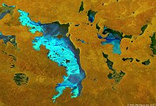 Lake Gairdner, Australia  In bright shades of blue, this false-colour image, acquired in April 2015, shows Lake Gairdner and nearby smaller lakes and lagoons such as lakes Everard (west), Macfarlane (southeast), Hart and Hanson (northeast) and Island Lagoon (east). Lake Gairdner is the third largest salt lake in Australia and part of a closed drainage basin that is located to the north of the Eyre peninsula and the stony hills of the Gawler Ranges in South Australia. Together with Lakes Everard and Harris (northwest) and surrounds, Lake Gairdner forms a protected national park that is well preserved. While very hot and devoid of surface water in summertime, the park shelters many species of plants and birds, feral camels, emus and kangaroos in Spring. For race fans, the salt flats are a site of annual attempts to improve various land speed records.   Date: 21/04/2015   Resolution: 100m : lake, gairdner, australia, park, kangaroos, everard, macfarlane, hart, hanson