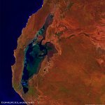 Lake Macleod, Australia  The 100 m false-colour image of 24 June 2015 shows us Lake Macleod, the westernmost lake in Australia. The lake lies in the Gascoyne region of Western Australia, north of the small coastal city of Carnarvon. Climatically, this part of Western Australia is greatly influenced by the north-flowing Western Australian Current that brings cool water northward from Antarctica, which is not conducive to producing inland precipitation. This cool offshore current, coupled with a very flat coastal plain, contributes to the near-desert-like conditions along the coastal region as evidenced by the brown landscape around the lake and the highly reflective salt beds within the lake. The low point in the lake appears to be near the northern end where the light blues indicate some standing water.   Date: 24/06/2015   Resolution: 100m : lake, macleod, australia, coast