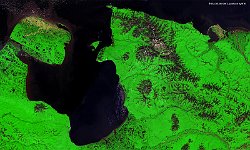Chaunskaya Bay, Russia  The 100 m false-colour image of 11 August 2017 shows us Chaunskaya Bay, the largest bay of the East-Siberian Sea, Russia. The large island in the west is called Ayon. Pevek is a port town located just southeast of the two small islands east of Ayon. Apparently Pevek is the northern-most town in Asia.  The two islands are Bolshoy Routan Island (larger) and Malyy Routan Island (smaller one). Ayon is inhabited by the Chukchi people. The Chukchi are indigenous to the area and many still practice a semi-nomadic lifestyle, hunting marine wildlife and herding reindeer.  The island, peninsula and delta is peppered by lakes and is clearly a wetland habitat with many rivers draining into the bay especially the Chaun river. Chaunskaya Guba is a natural reserve or zakaznik in Russian. Eight species of whale have been reported here with only 3 common species: Beluga, Gray and Bowhead whale. Walrus and four species of seal are reported from here while the Polar Bear is common. Several Eider species migrate from the east into the Bay during the Spring. The bay itself is dominated by Bivalves.  Ayon is also a seabird colony with nearly 10,000 individuals. The wetlands are rich in plant communities typically known as salt marsh vegetation. It consists of sedges, grasses, herbs of the families: Cyperaceae, Pooaceae and Rosaceae typically native to the Arctic. Notice the distinct spectral light brown of North Ayon island indicative of a Poacea dominant habitat. The hills inland of Pevek are part of the Chukotsky range and are composed of granite dated to 100 million years ago. These are dark brown in colour sitting above the green mat of vegetation. These hills can be seen around Pevek as well.  Chintan Sheth from India is the winner of our 4th PROBA-V Quiz! Congratulations!   Date: 11/08/2017   Resolution: 100m : chaunskaya, bay, russia, ayon, peninsula, river, salt, vegetation
