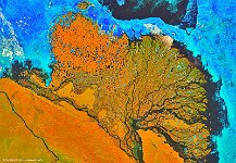 Lena Delta, Russian Federation  Where the Lena River, one of Russia’s five longest waterways, flows into the Laptev Sea, it forms a unique delta of three million hectares, 6 500 km river branches, more than 30 000 lakes of varying sizes and over 1 500 islands. When seen from above, even in this false-colour 100 m image of PROBA-V, the water mosaic is enriched by the brightness of the tundra vegetation cover, a mix of nearly 1 000 species of vascular plants, grass, moss, lichen and algae species. The small larch grove, on one of the southern islands, is considered the northern most forest massif of northeast Eurasia. The Lena Delta and the Ust-Lensky Reserve, that occupies almost half of the delta, are key for the nesting of migrating birds, like the rare Siberian white crane, and supports mammals like the white whale, polar bears, Arctic fox and wild reindeer. The mixture of land and water and the richness in fauna and flora, all under conditions of (up to 600 m deep) permafrost and the harsh northern climate, make the Delta a unique Arctic landscape and natural heritage to be preserved.   Date: 16/06/2018   Resolution: 100m : lena, delta, russia, grass, moss, algea, tundra, vegetation, plants