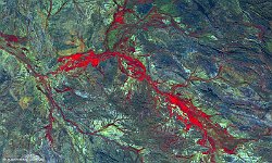 Ashburton River, Australia  Amidst the hills and ranges in the northern parts of Western Australia, with a desertic climate, we find Ashburton River and its floodplains dominated by Acacia shrublands and grasslands that light up in red in this 100m false-colour PROBA-V image of late July 2015. The River flows north to northwestward to finally flow into the Indian Ocean near Onslow. In the image, it is clearly joined by several tributaries that flow in from the north to northeast, east and south. Paulsens Gold Mine is highlighted by the bright blue spot.   Date: 24/06/2015   Resolution: 100m : ashburton, river, australia, grassland