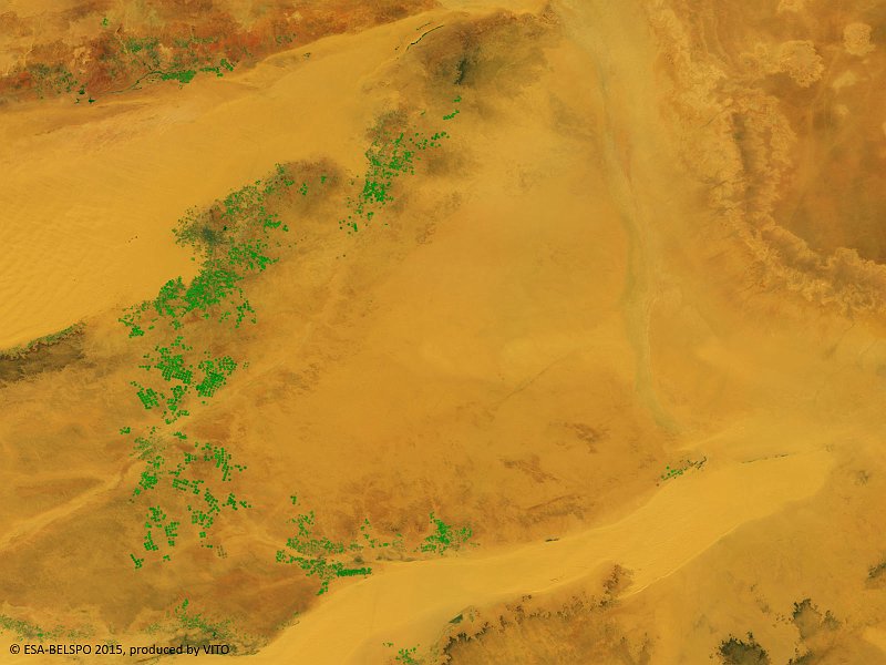 Pivot irrigation fields, Libya