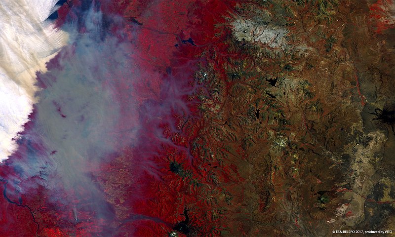 Devastating fires, Chile