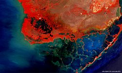 S1_TOC_20170507_100M_Everglades_Florida_NRB.jpg