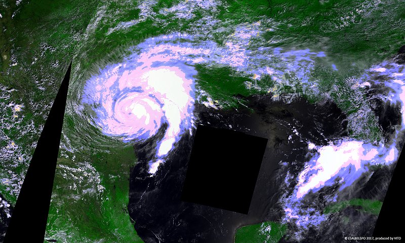 Hurricane Harvey, Texas