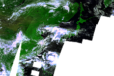 S1_TOC_20190904_300M_TyphoonLingling_Pacific_RNB.png