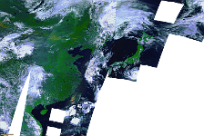 S1_TOC_20190908_300M_TyphoonLingling_Pacific_RNB.png